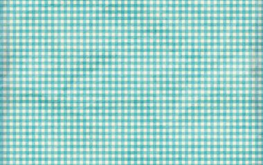 Pspring Funinthesun Bluegingham