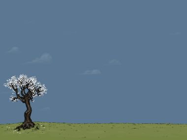 Spring1