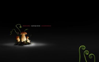 Stay Green Energy Saver