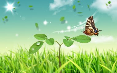 Summer_Fantasy_landscape_by_photo_manipulation_02143952