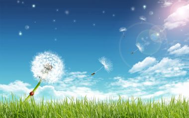 Summer_Fantasy_landscape_by_photo_manipulation_13255063