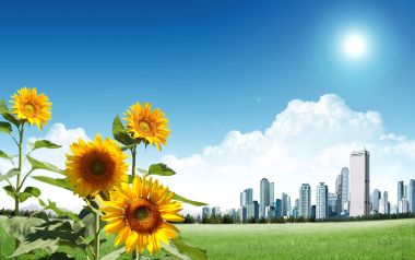 Summer_Fantasy_landscape_by_photo_manipulation_16285366