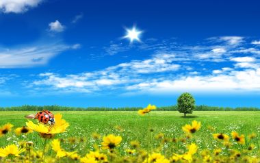 Summer_Fantasy_landscape_by_photo_manipulation_28406578