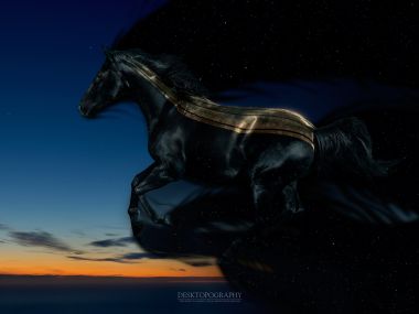 The_night_is_coming