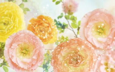 Dreamy Soft Focus Pink And Yellow Flowers HD Wallpaper