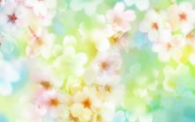梦幻柔焦樱花特写背景