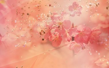 Dreamy Pink Cherry Blossoms With Gold Glitter