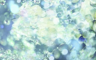 梦幻光影下的清新绣球花微距特写