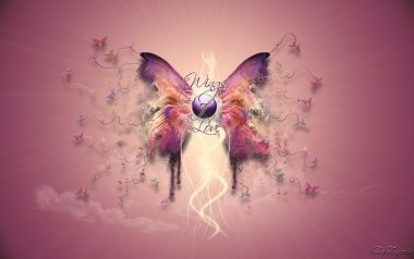 Wings_of_love