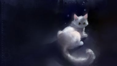 apofiss梦幻星空下的白色猫咪插画壁纸