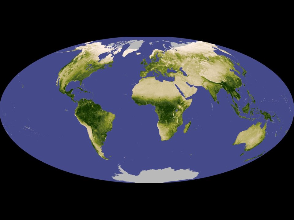 Global Vegetation Distribution Satellite Remote Sensing Map