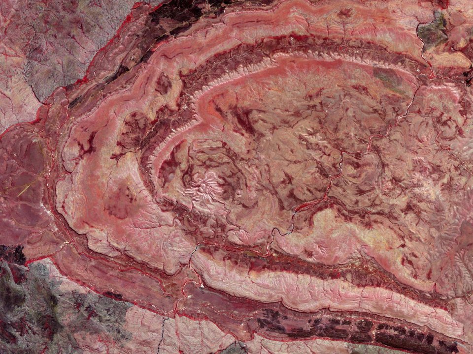Natural Rhodonite Cross Section Ring Texture Closeup