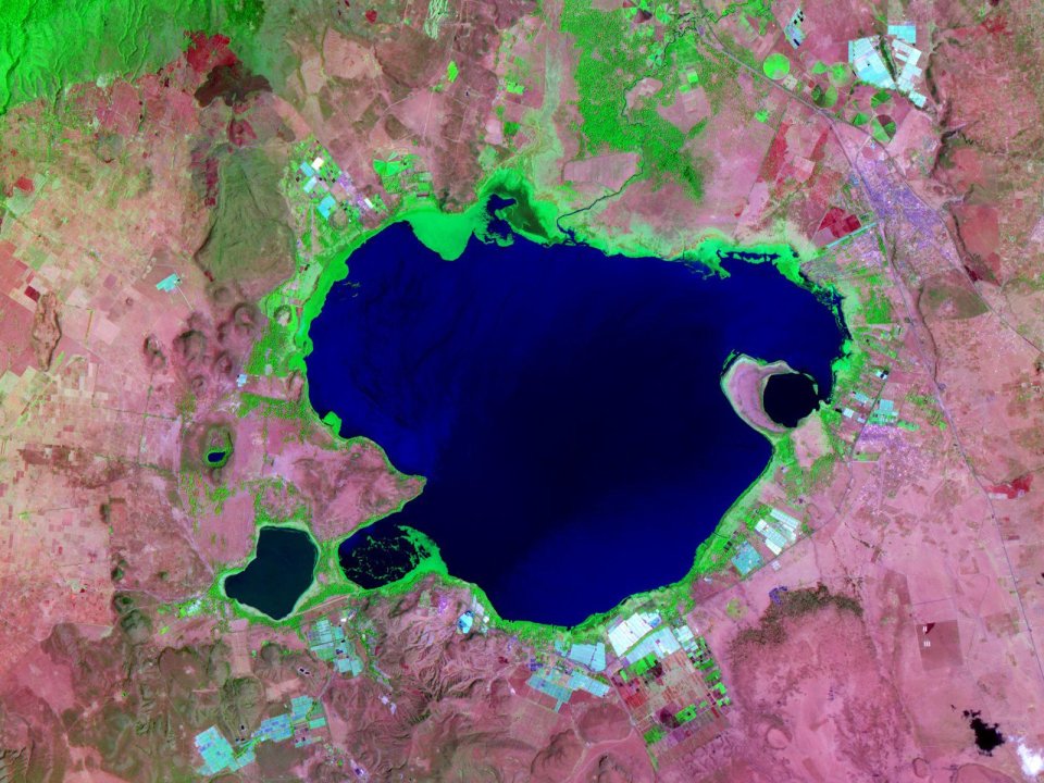 Kenya Lake Naivasha Infrared Pseudo Color Satellite Image