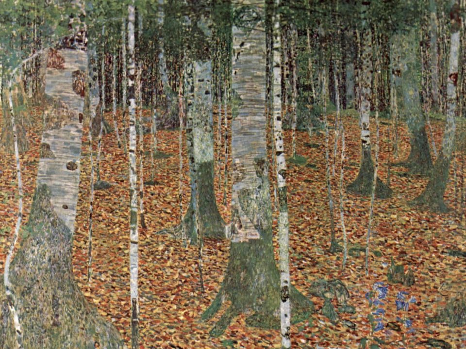 Gustav Klimt Birch Forest