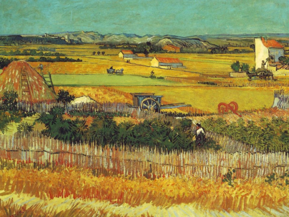 Van Gogh The Harvest
