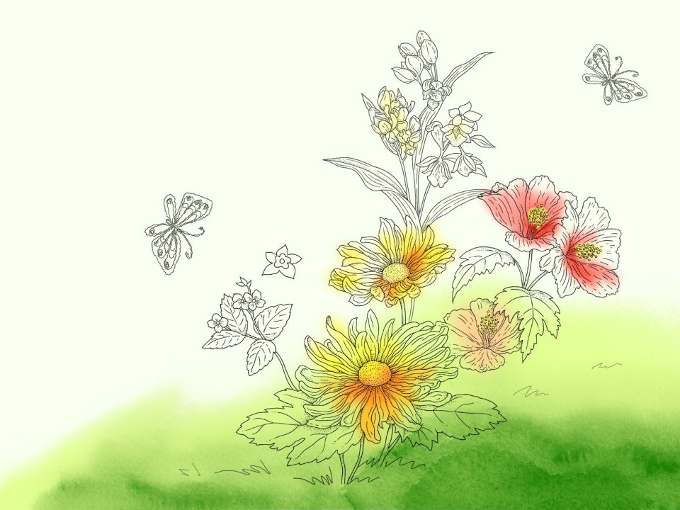 Fresh Watercolor Floral And Butterfly Illustration