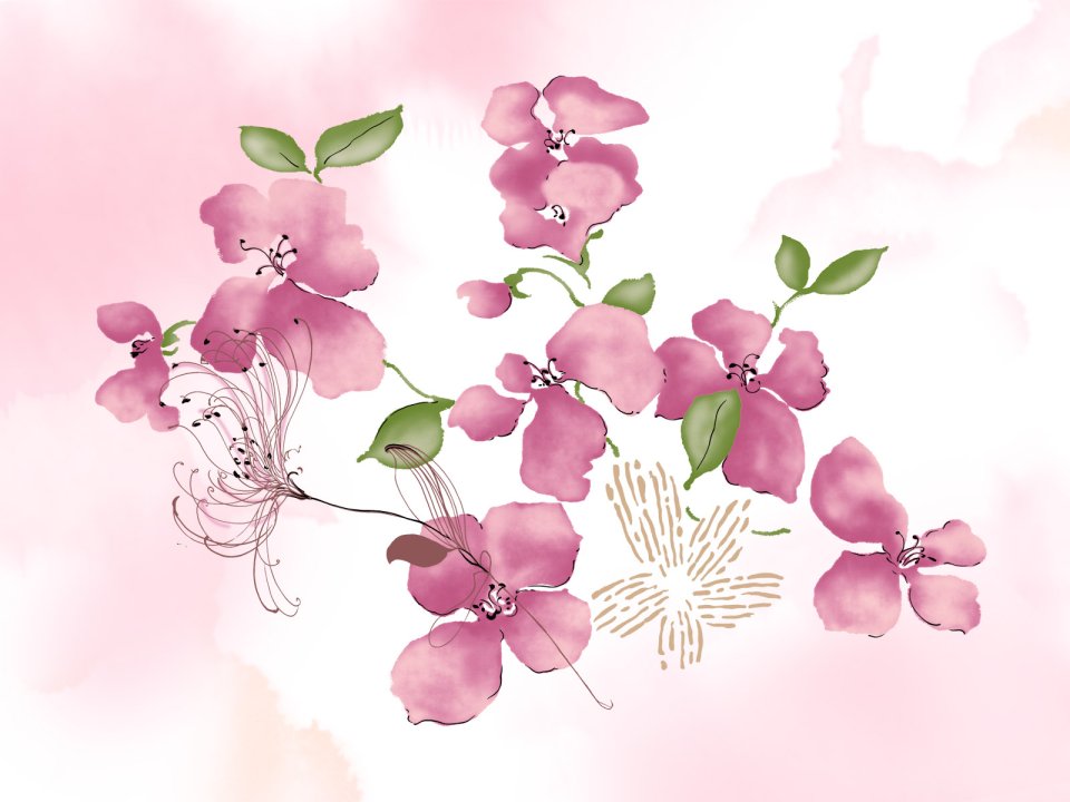清新粉色水彩花卉艺术插画