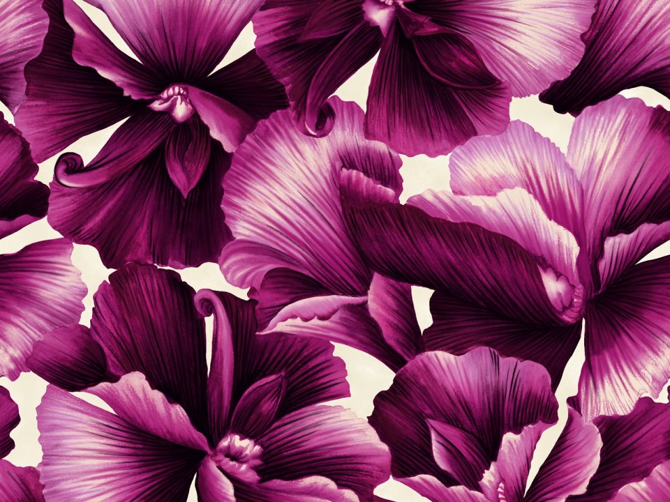 Elegant Magenta Floral Art Pattern