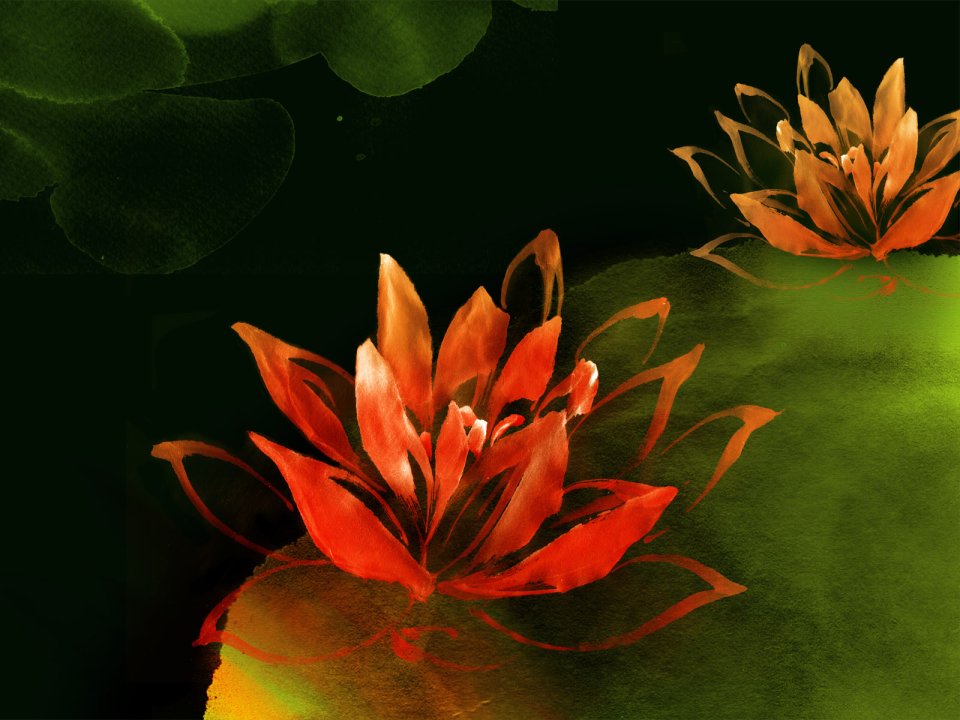 Ink Wash Style Orange Lotus Art