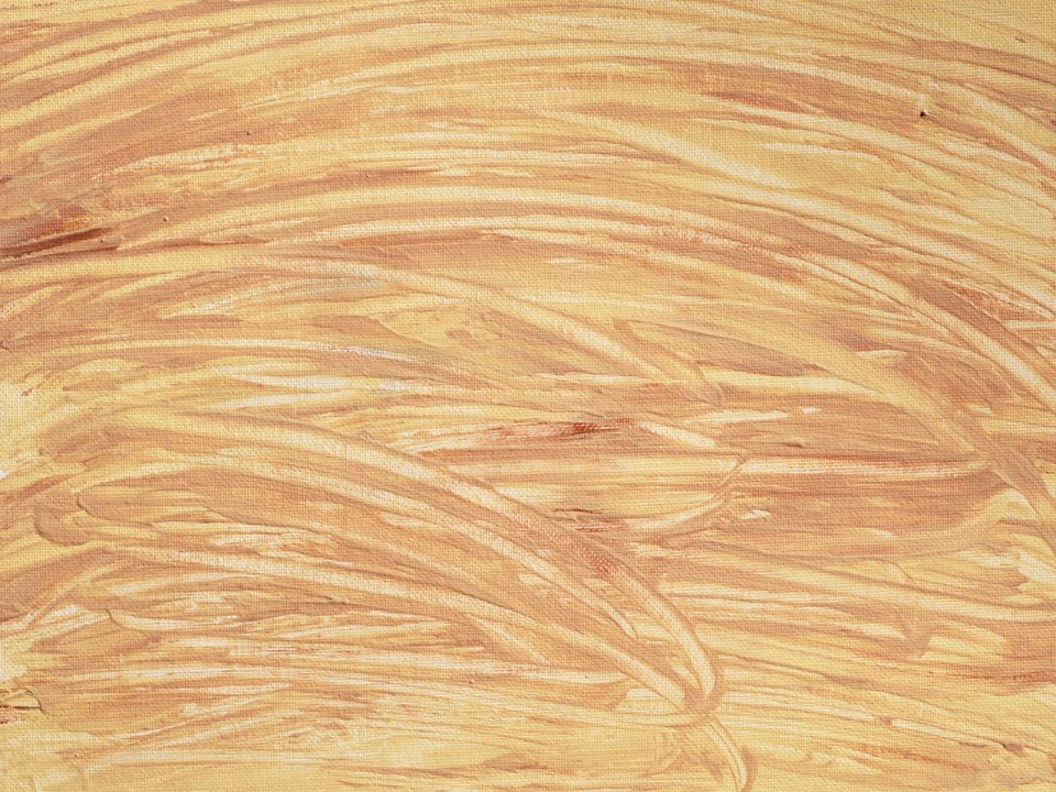 Warm Brown Hand Painted Brush Texture Wallpaper Bs08030