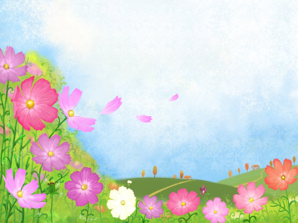 Beautiful Cosmos Flower Field Illustration