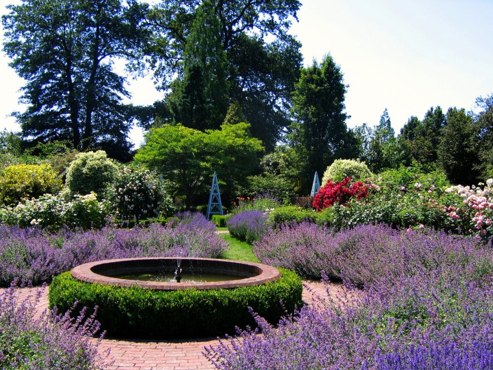 英国萨塞克斯博德山花园夏日园林景观