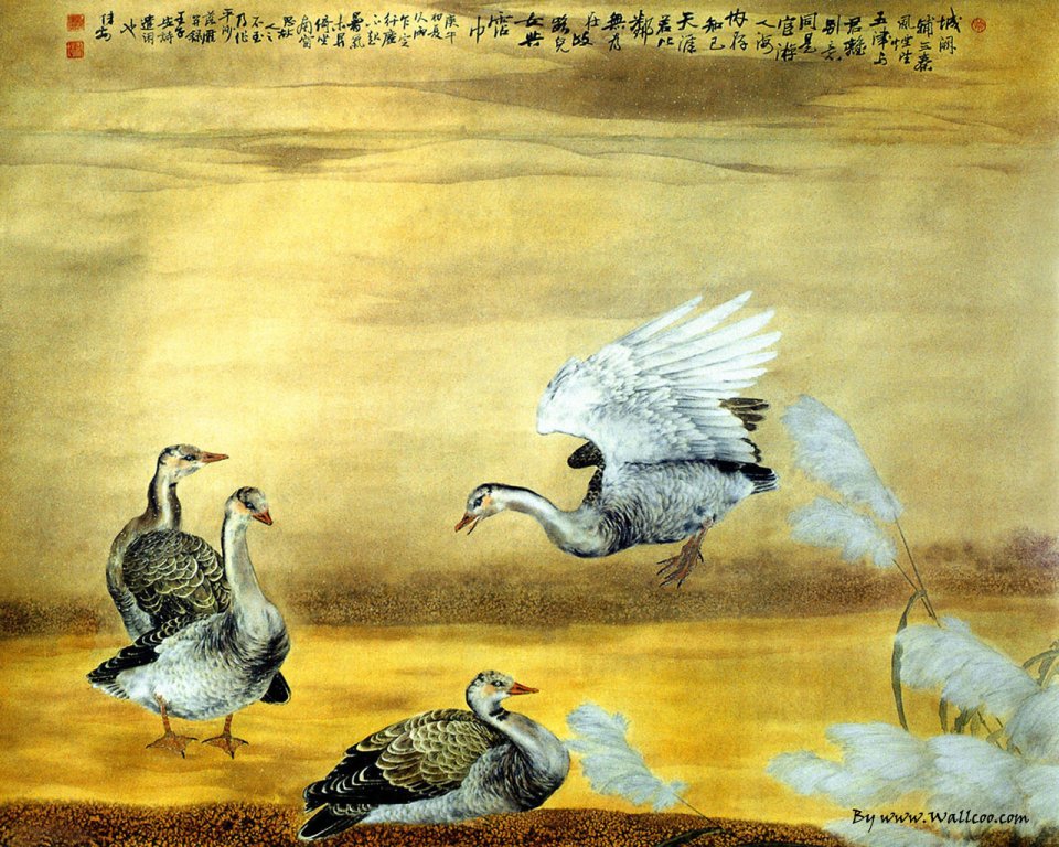 邹传安 鸿雁芦苇工笔花鸟画