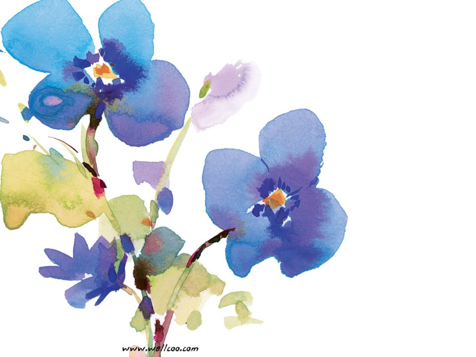 Delicate Watercolor Violet Floral Art
