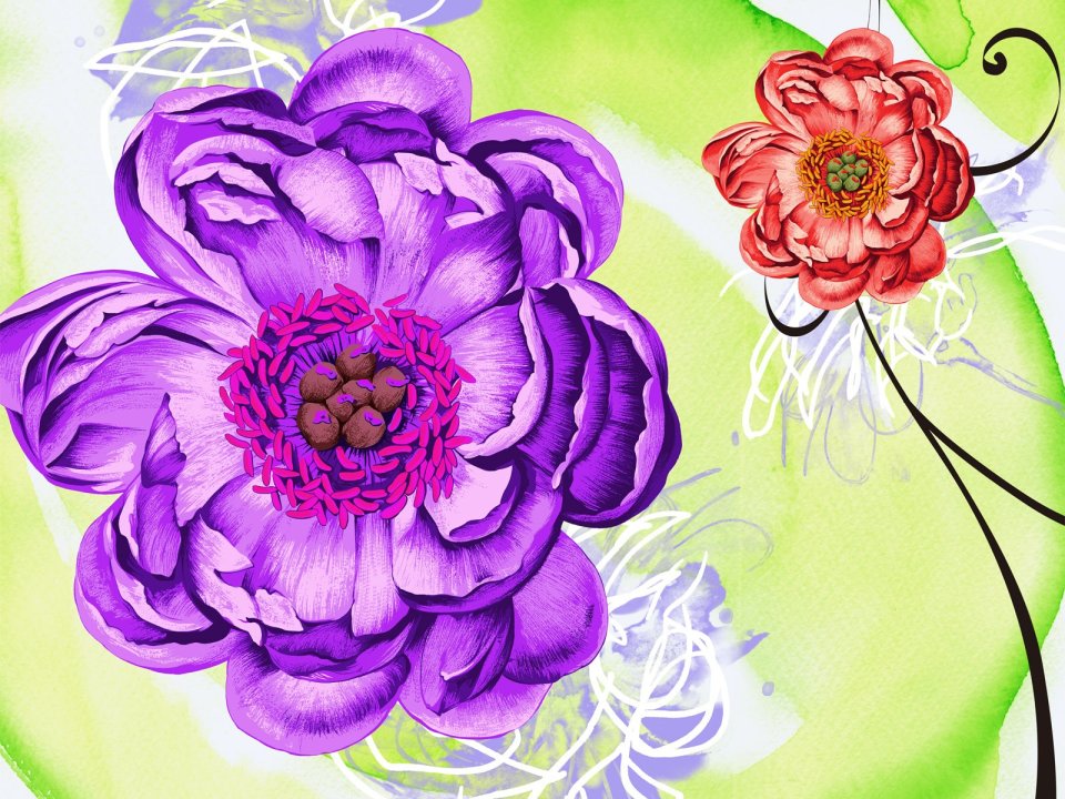 撞色紫红重瓣花艺术花卉插画壁纸