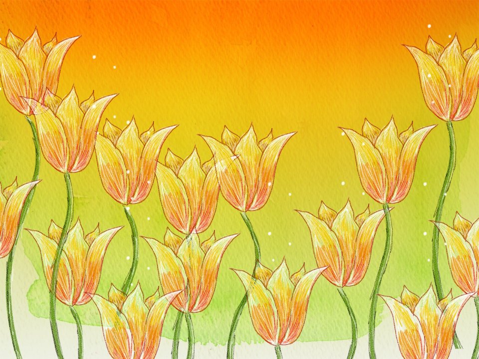 Warm Hand Drawn Yellow Tulip Art Illustration Wallpaper