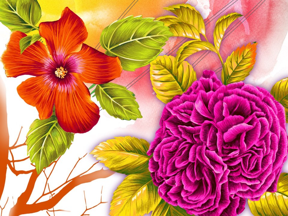 Bright Orange Hibiscus Magenta Double Petal Flower Art Illustration