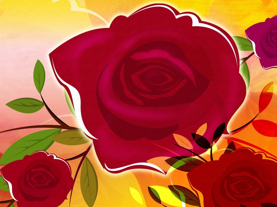 Big Red Rose Artistic Flower Vector Illustration Wallpaper
