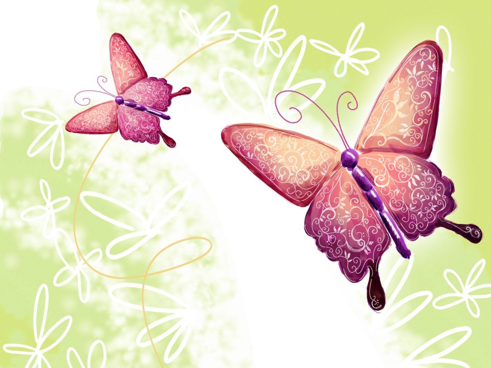 Fresh Spring Floral Butterfly Illustration
