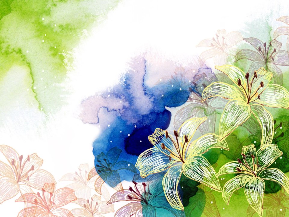 Fresh Watercolor Lily Art Illustration