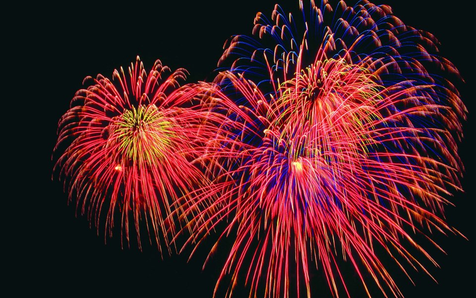 Colorful Festival Fireworks Display Blooming At Night