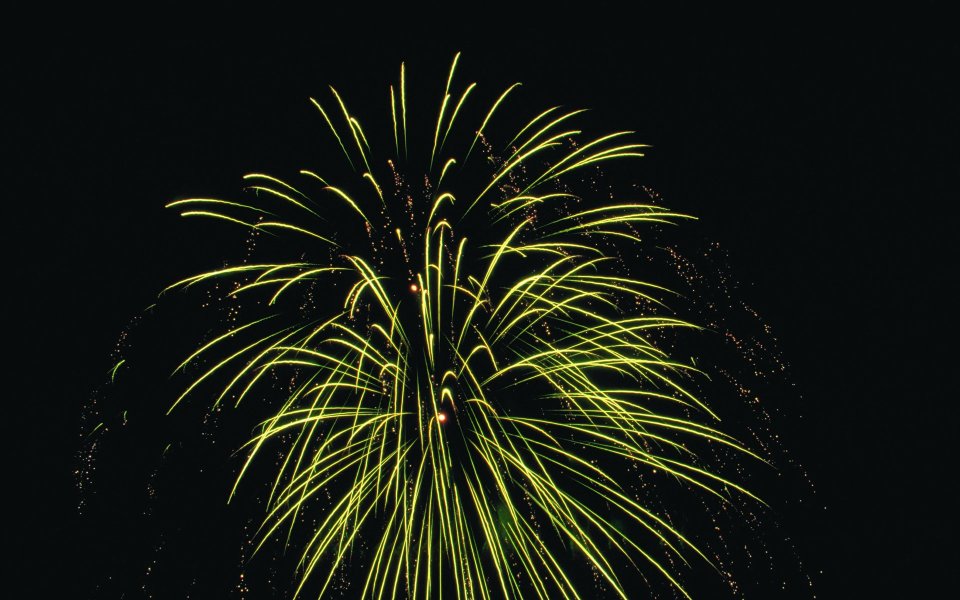 Bright Green Festive Fireworks Blooming In Dark Night Sky