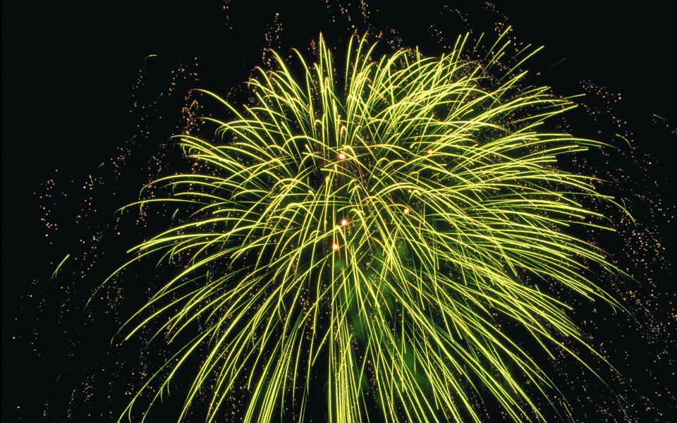节日夜空绿色烟花绽放