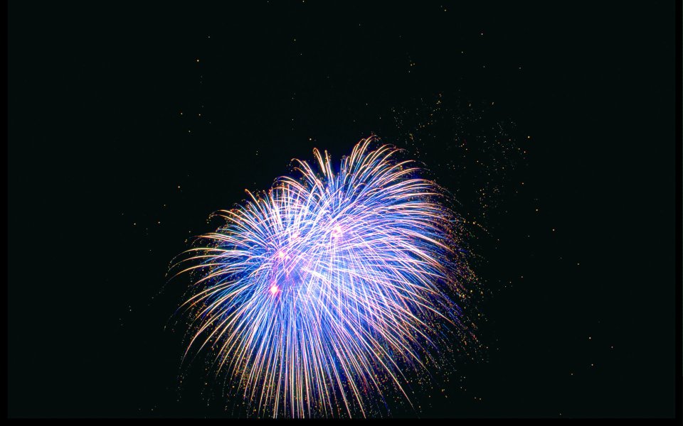 Blue Purple Fireworks Blooming In Festival Dark Night Sky