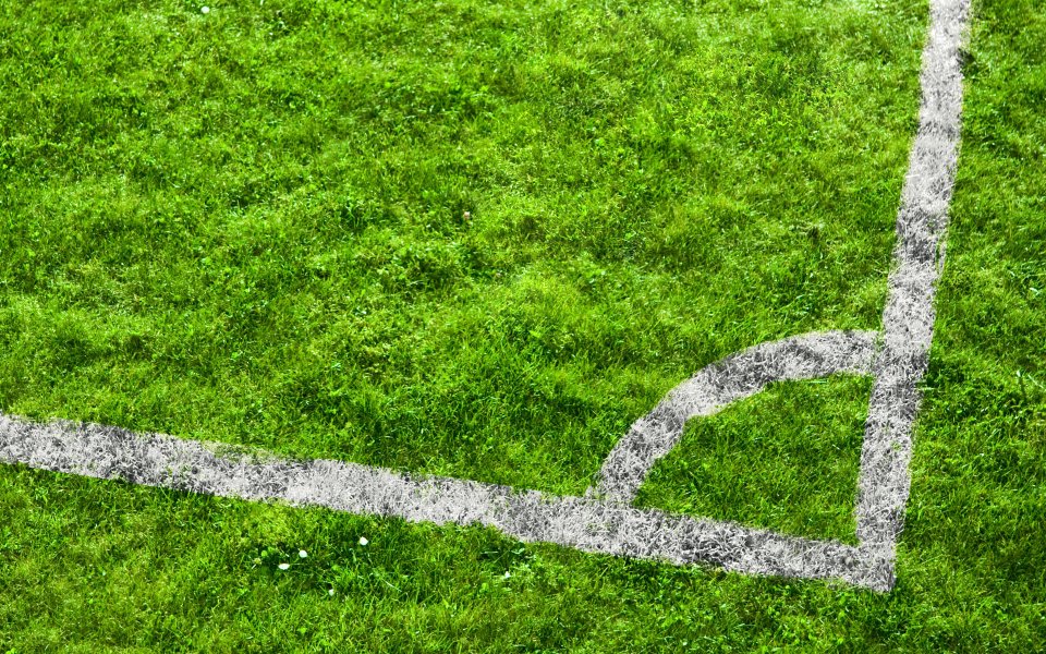 Soccer Field Natural Grass Corner Zone White Markings Closeup
