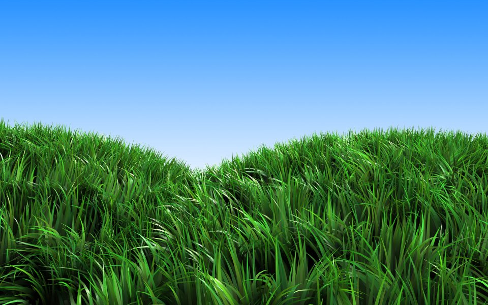 3d Rendering Fresh Green Grass Clear Blue Sky Nature Wallpaper