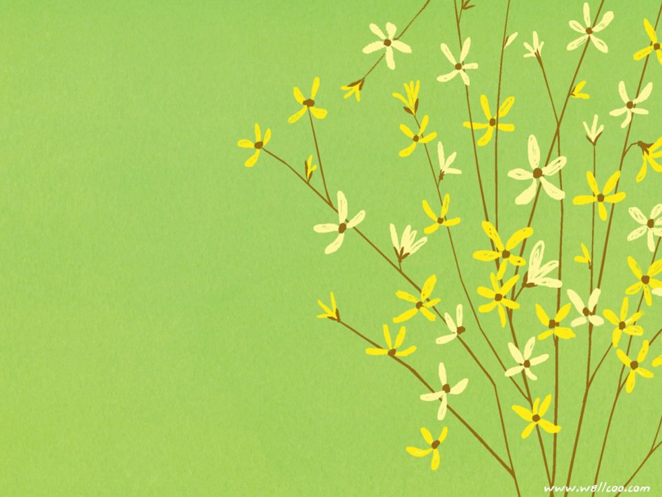 清新手绘黄色野花插画