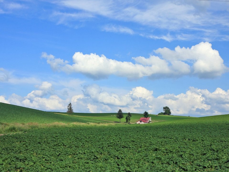 Hokkaido Summer Countryside Scenery Red Roof Cabin