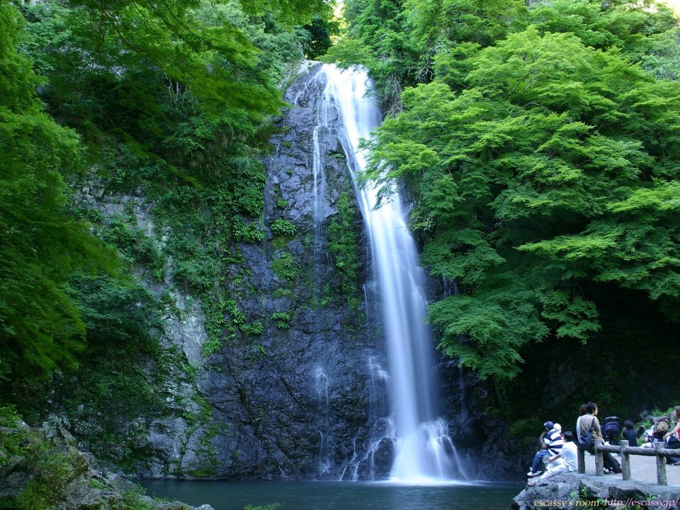 Japan Summer Lush Forest Waterfall Natural Scenery