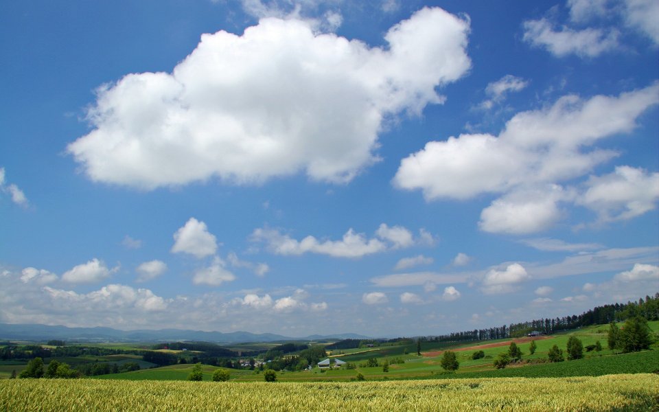 Japan Hokkaido Summer Rural Field Landscape