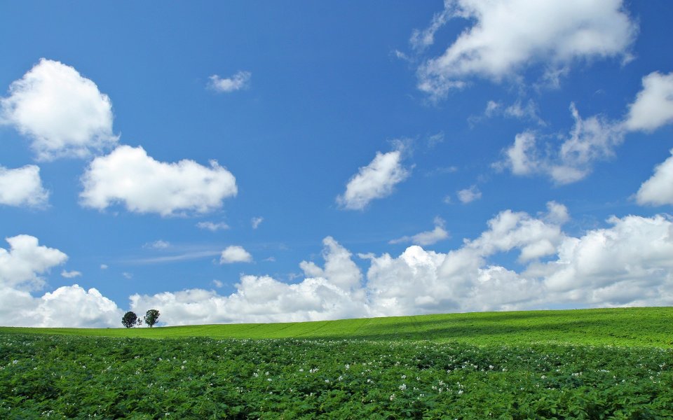 Hokkaido Japan Summer Countryside Blue Sky Farm Landscape