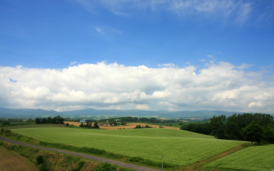 日本北海道夏季田园风光