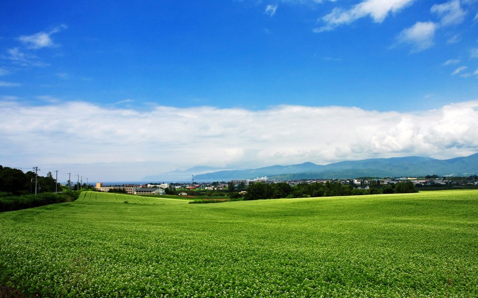 Hokkaido Japan Summer Green Farmland Landscape