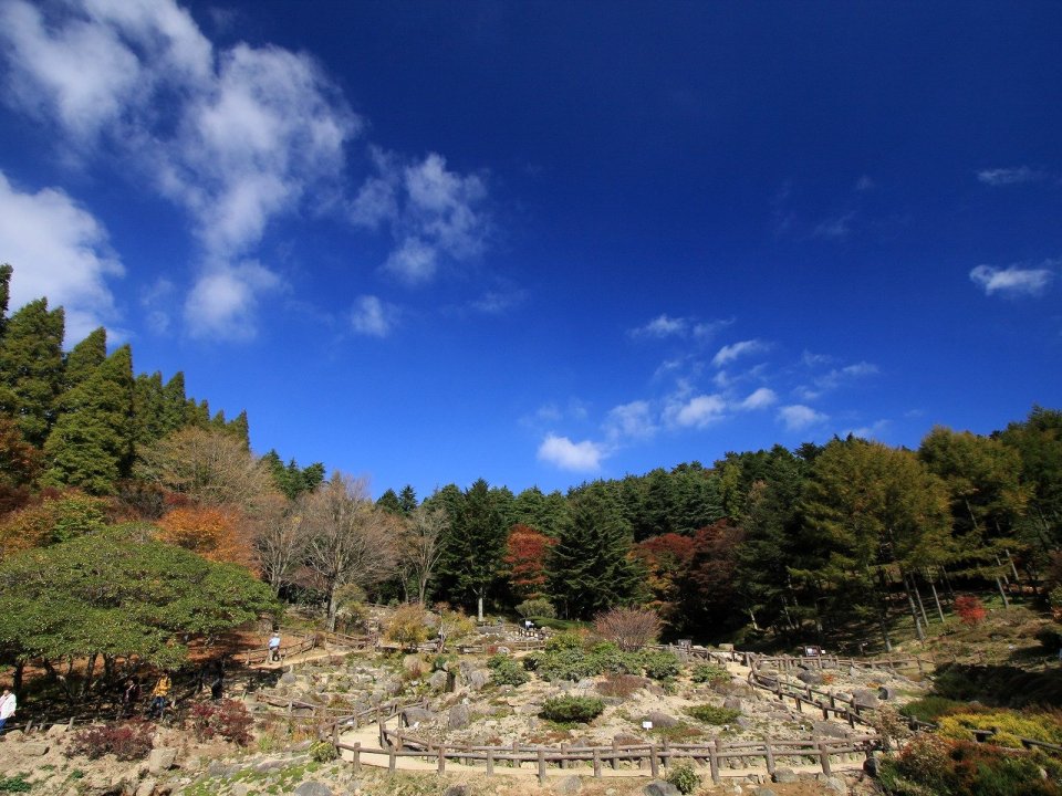 日本六甲山秋日山林观景步道风光