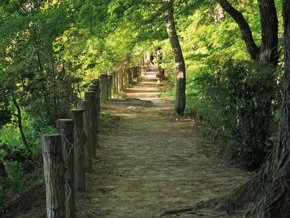 日本六甲山夏日林间步道自然风景