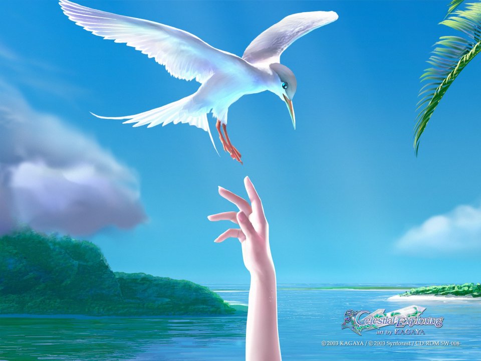 KAGAYA Celestial Exploring Seabird Hand Touch Seascape Art